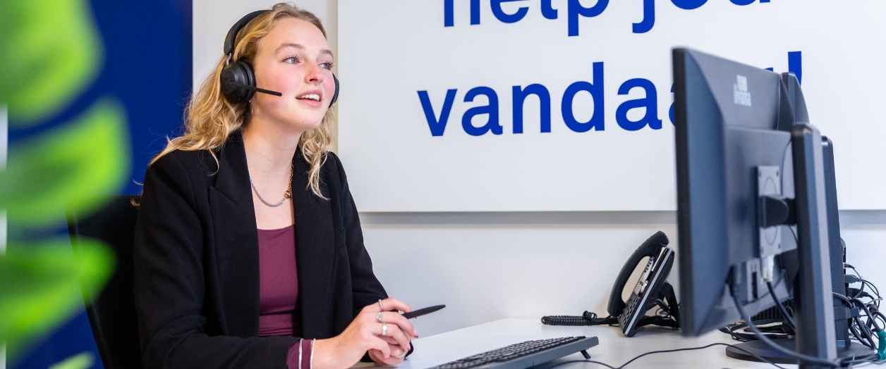 Werken als consultant